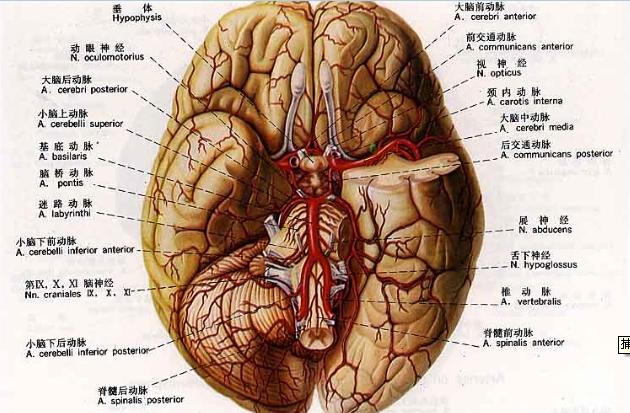 晋江无痛人流病医院